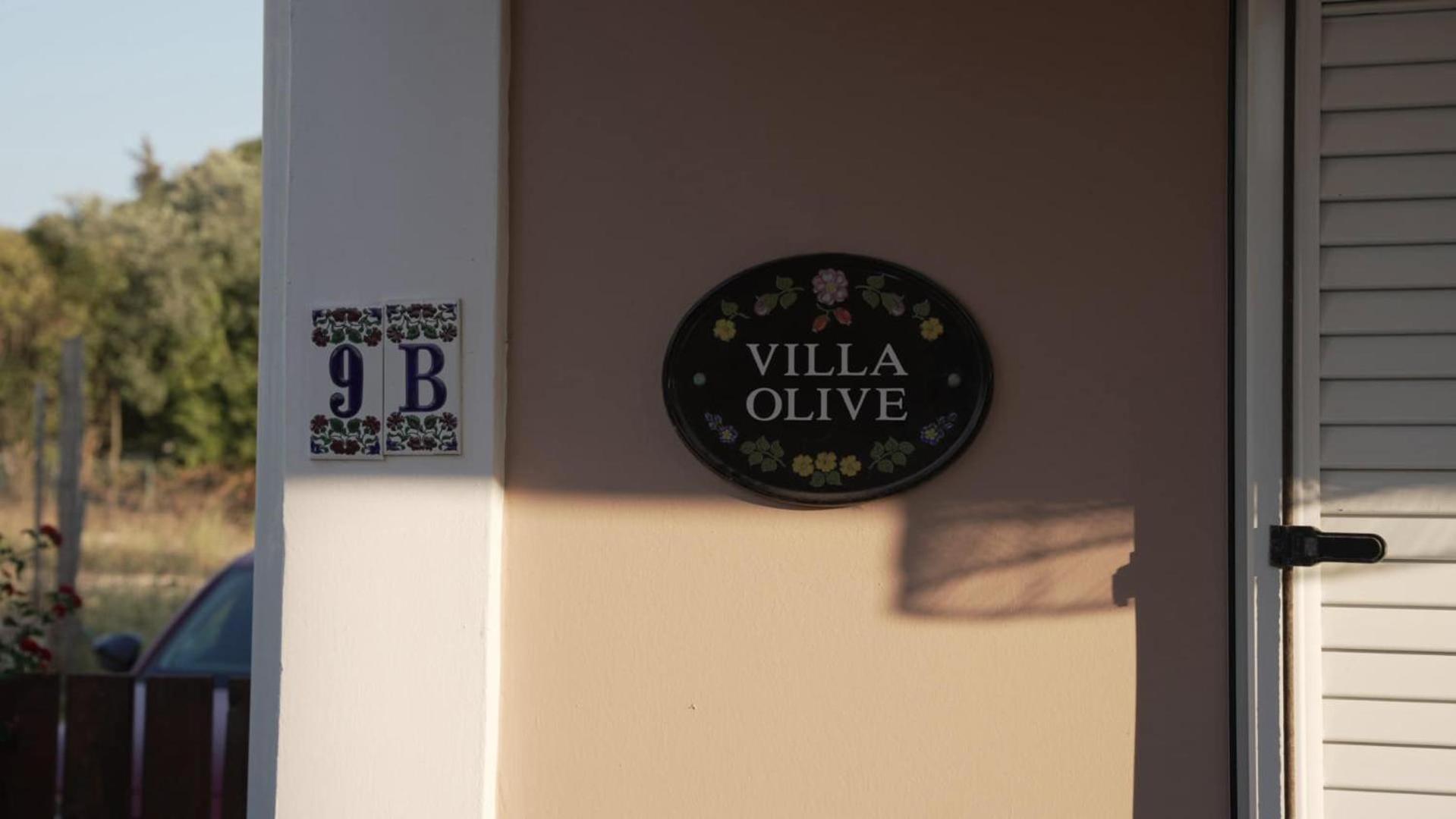 The Olive Grove Βίλα Πλάνος Εξωτερικό φωτογραφία